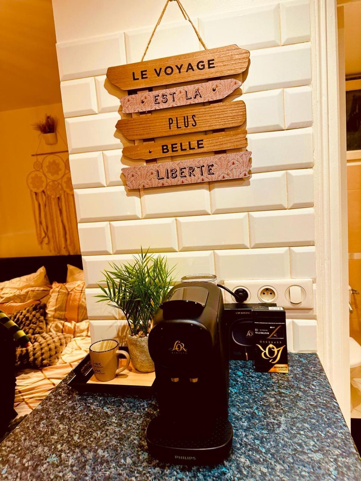 Appartement Elegant A Conflant コンフラン・サントノリーヌ エクステリア 写真